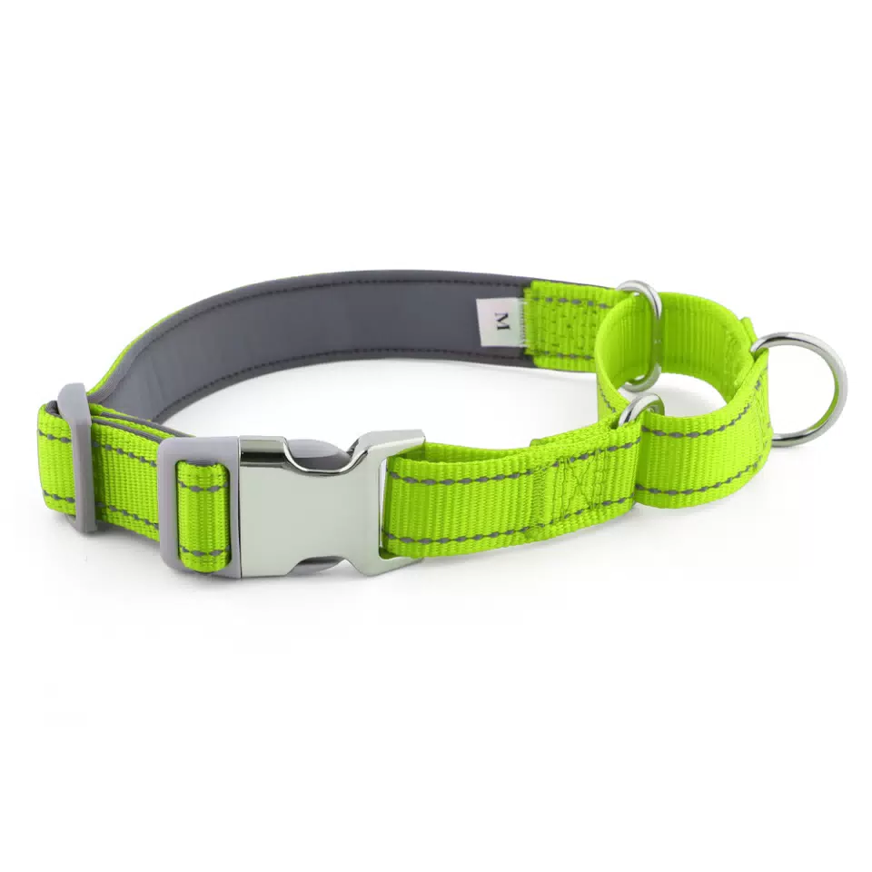 Reflective Nylon Dog Collar with Neoprene Lining Bright Green / M
