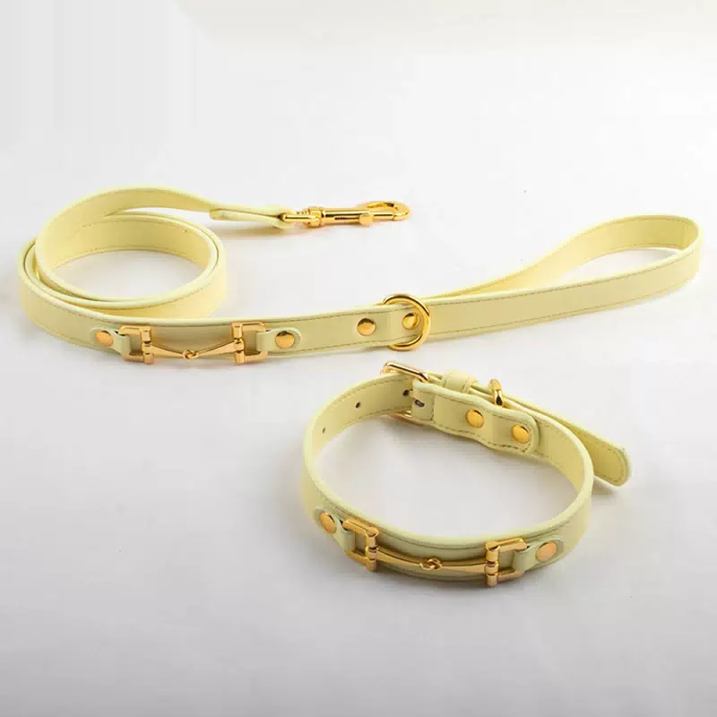 Leather Dog Collar Soft & Durable Strong Waterproof Stylish Dog Collar for Girl Designer Golden Collar + Leash / S