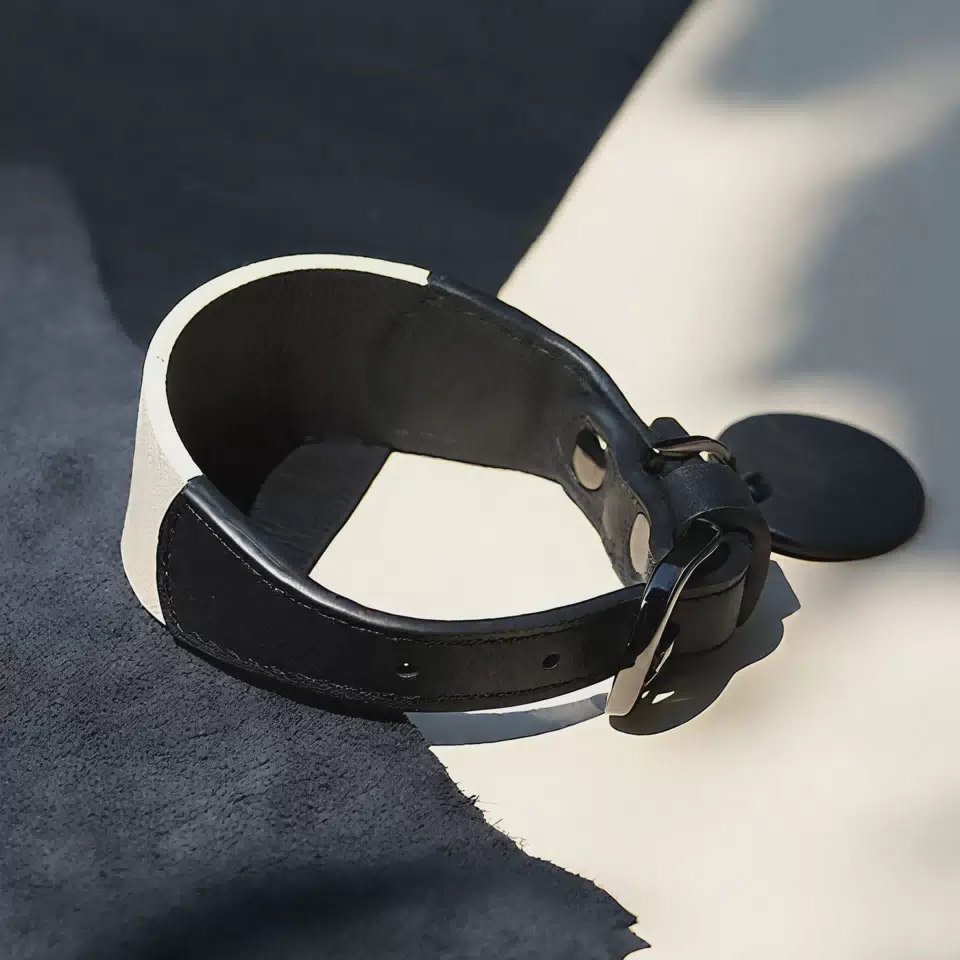 Wide Leather Dog Collar with Metal Buckle 1 / S