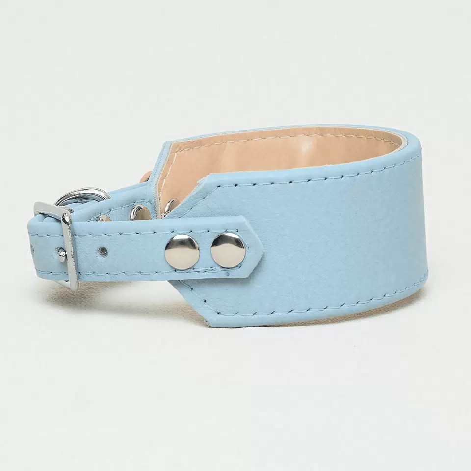 Padded Leather Dog Collar for Greyhounds and Whippets Sky Blue / S