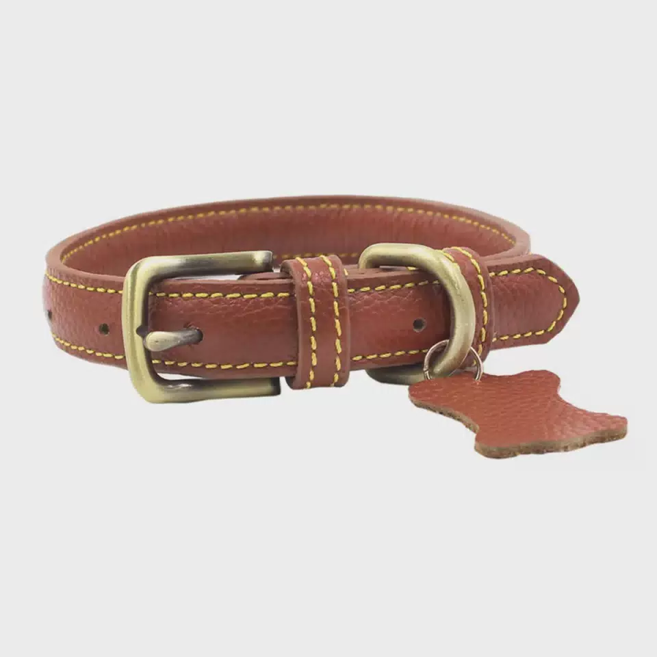 Leather Dog Collar with Personalized Name Tag Brown / S