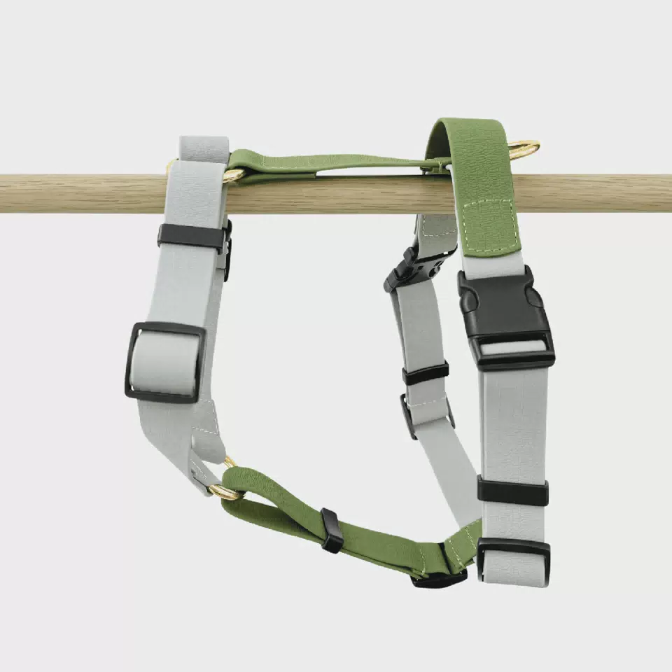 Adjustable PVC Dog Harness with Quick-Release Buckles Silver and Green / S