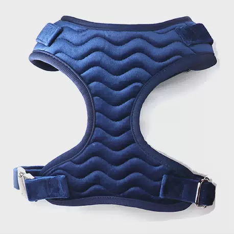 Padded Dog Harness Set with Fabric Waste Bag Holder Blue Velvet / S