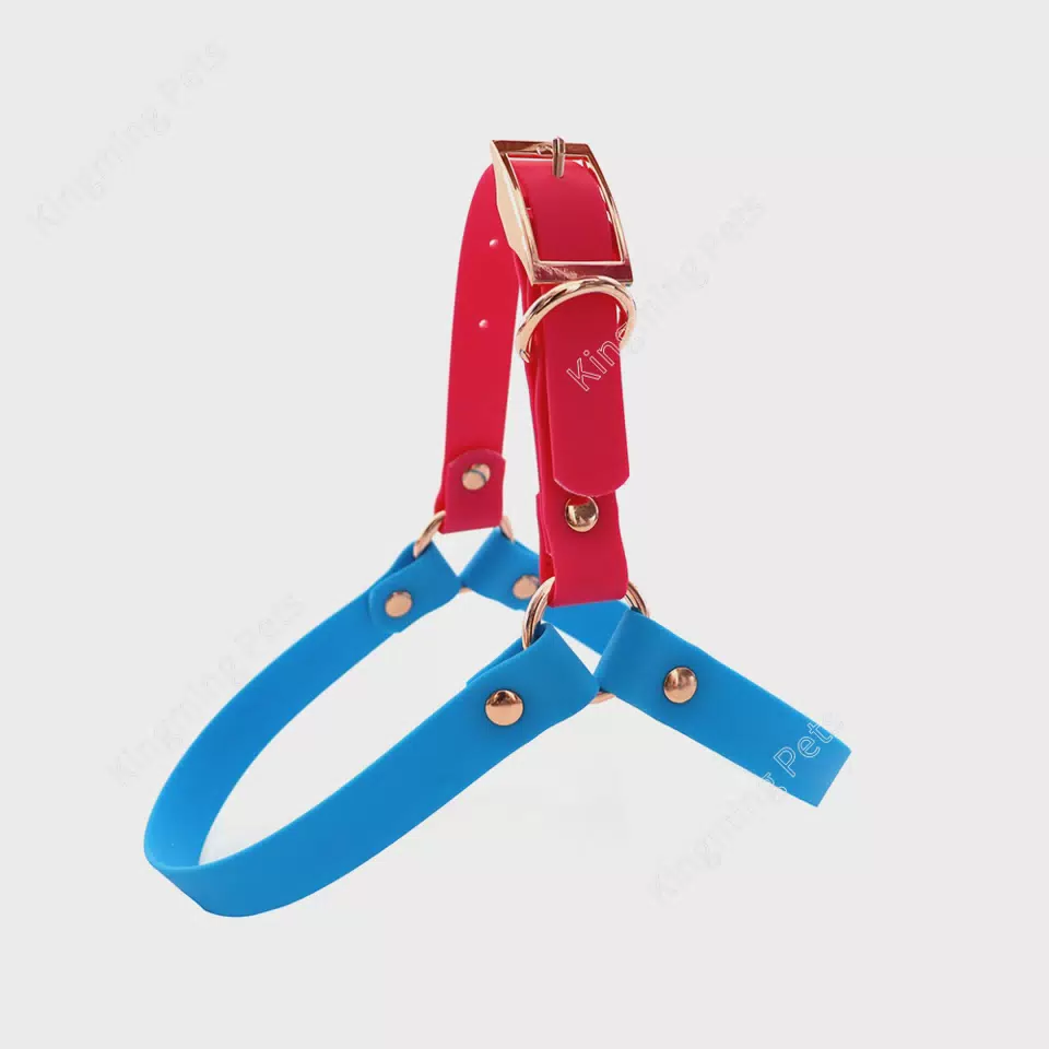 Colorblock PVC Dog Harness and Leash Set Blue / S