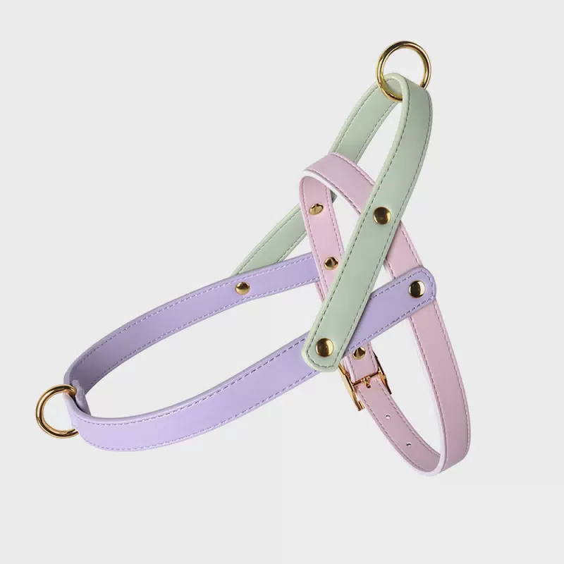 Adjustable Dog Harness with Matching Leash Options pet harness / XS