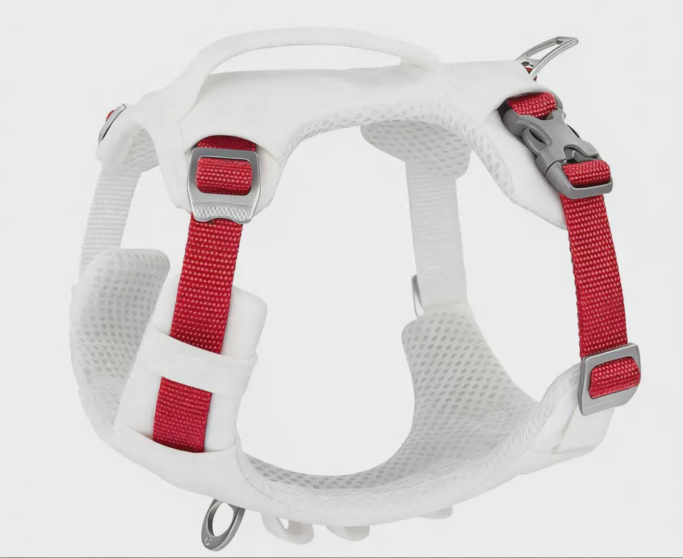 Padded Polyester Dog Harness with Adjustable Straps White / XS