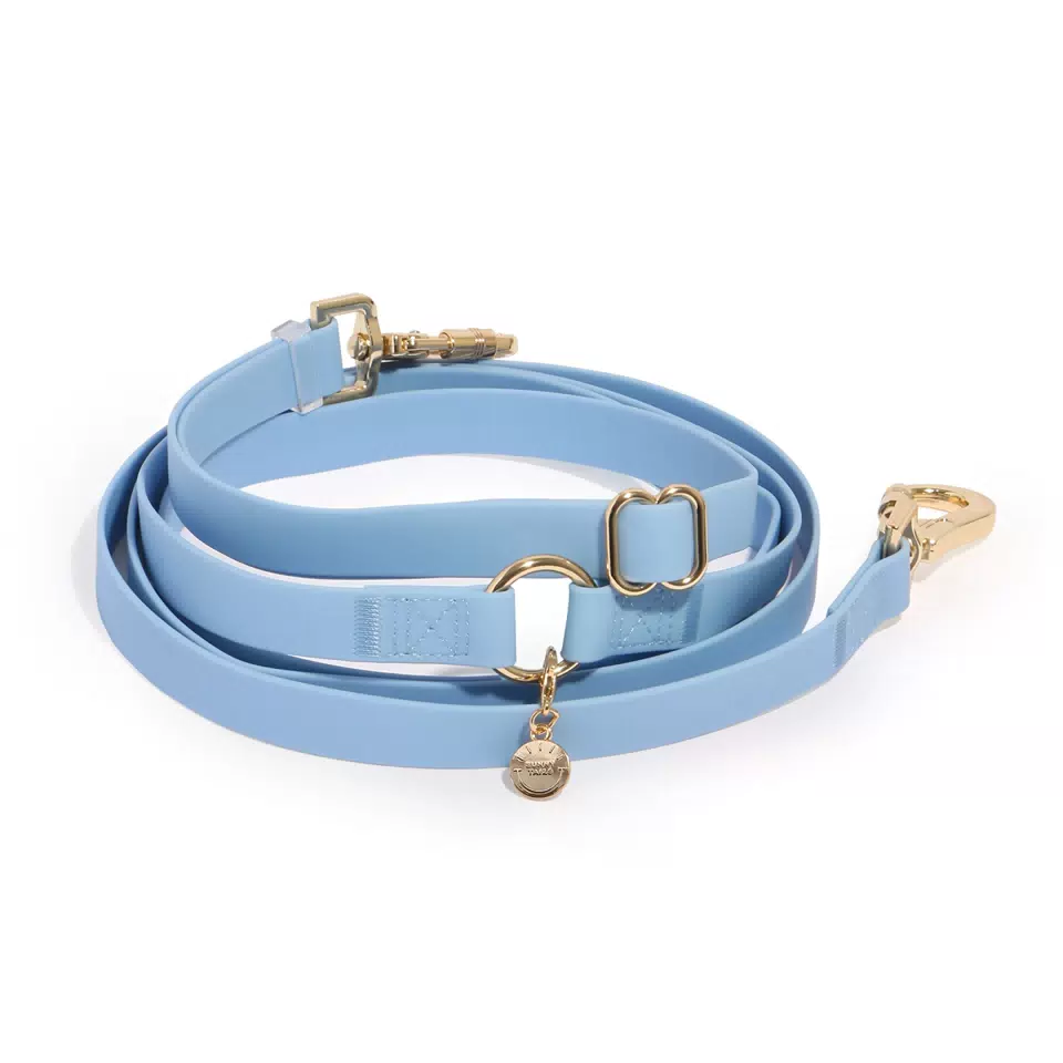Adjustable Hands-Free PVC Dog Leash Blue / S