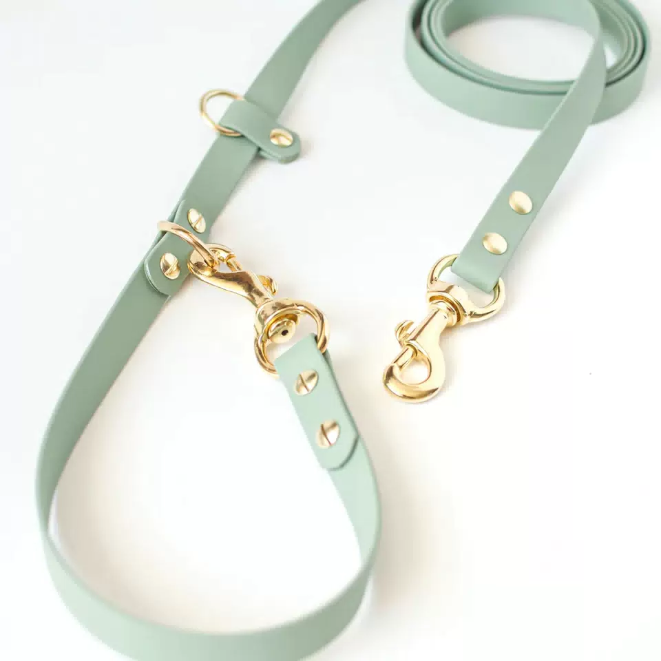 Hands-Free PVC Dog Leash with Custom Length Light Green