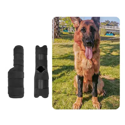 Supportive Dog Leg and Knee Wrap