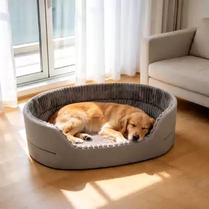 Four-Season Dog and Cat Bed Mat