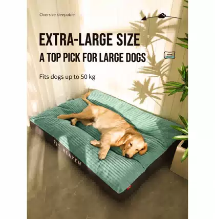 Four-Season Summer Pet Bed Mat