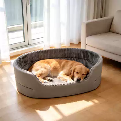 Non-Slip Four-Season Pet Bed
