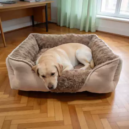 Two-Tone Summer Pet Bed