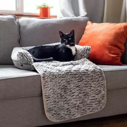Self-Warming Pet Mat