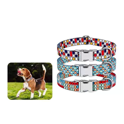 Printed Dog Collar and Leash Set