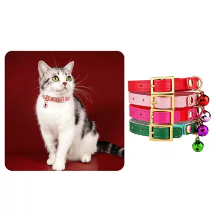 Leather Cat Collar with Bell