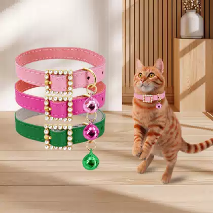 Leather Cat Collar with Rhinestones and Bell