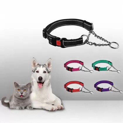 Reflective Nylon Martingale Dog Collar with Chain