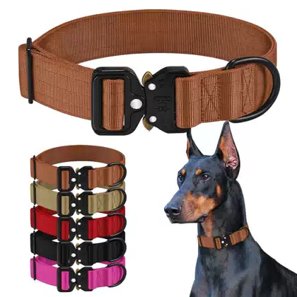 Double-Layer Nylon Dog Collar with Cobra-Style Buckle