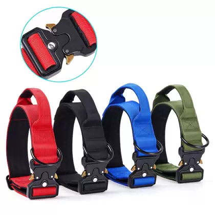 Neoprene-Lined Tactical Dog Collar with Cobra-Style Buckle