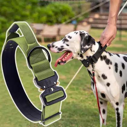 Padded Nylon Tactical Dog Collar