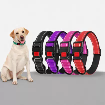 Reflective Neoprene Dog Collar