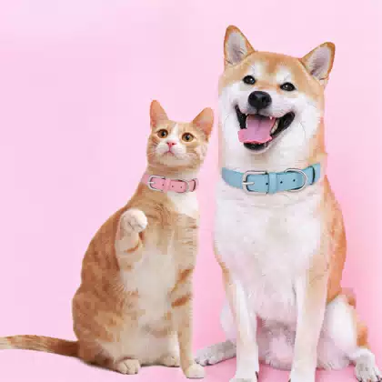 Adjustable Leather Pet Collar