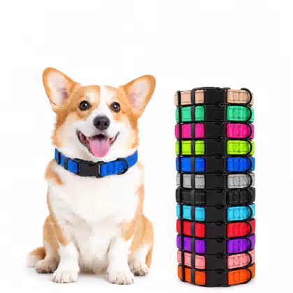 Padded Neoprene Nylon Dog Collar