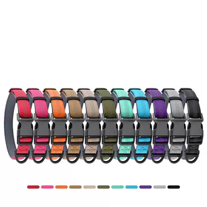 Reflective Neoprene Dog Collar with A Buckle