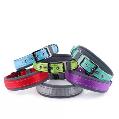 Personalized Reflective Neoprene Dog Collar