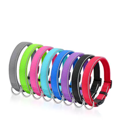 Reflective Neoprene Dog Collar and Leash