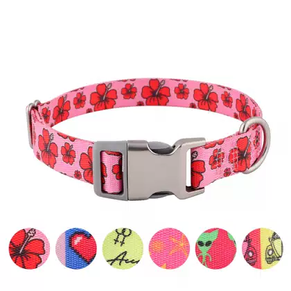 Custom Printed Adjustable Dog Collar