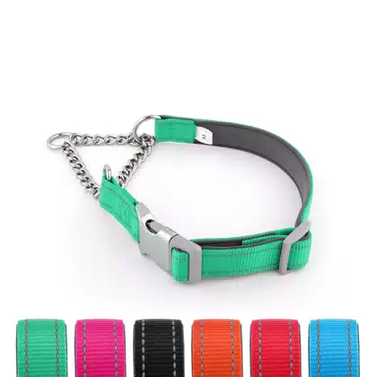 Half-Check Chain Dog Collar