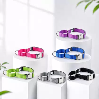 Reflective Neoprene Dog Collar