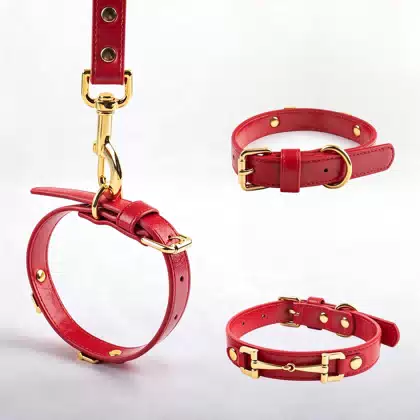 Leather Dog Collar Soft & Durable Strong Waterproof Stylish Dog Collar for Girl Designer