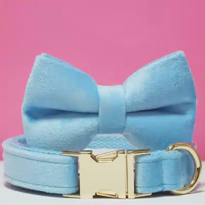 Personalized Velvet Dog Collar with Custom Colors, Logo and Metal Buckle