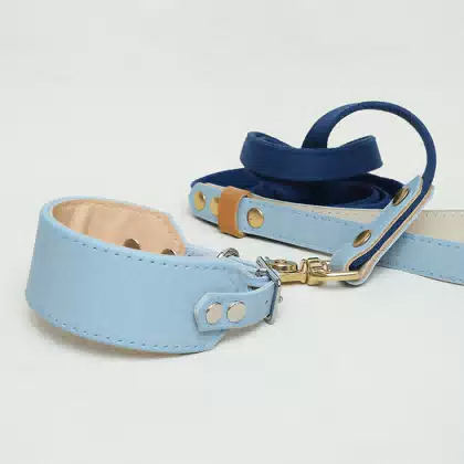 Luxury Wide Greyhounds Soft Padded Leather Collars and Leads Dog Leads Custom Other Thick Puppy Whippet Collar