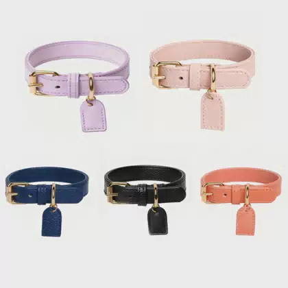 Custom Tag Luxury Vegan Leather Dog Collar with Metal Accessories