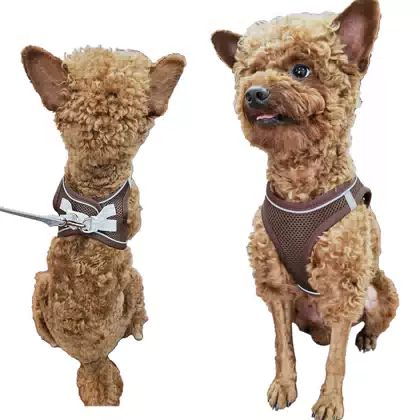 Breathable Mesh Vest Harness for Small and Medium Dogs