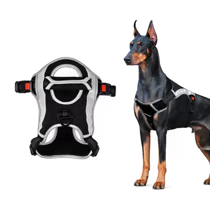 Reflective Dog Walking Harness