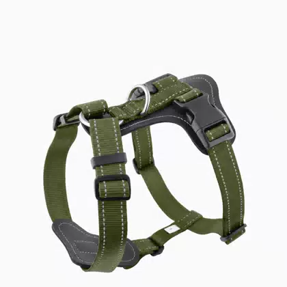 Leather-Style Dog Harness and Leash Vest