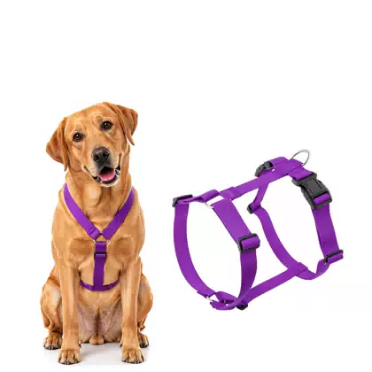 H-Style No-Pull Dog Harness and Leash