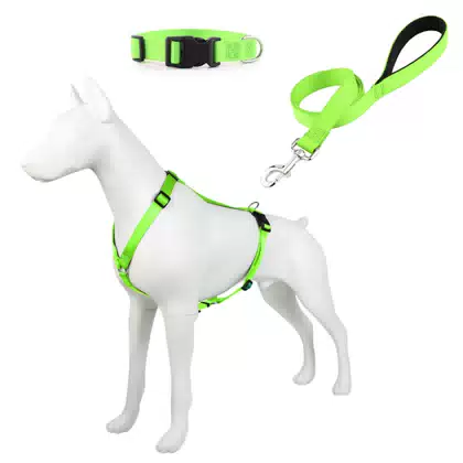 Nylon Vest Dog Harness and Leash