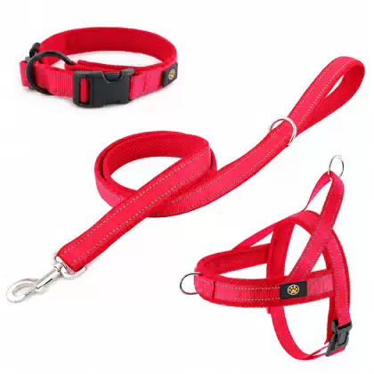 Breathable Custom Dog Harness and Leash