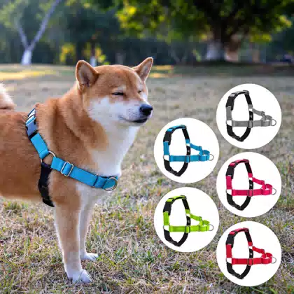 Easywalk Neoprene No-Pull Dog Harness