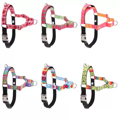 Printed Adjustable Dog Harness and Leash
