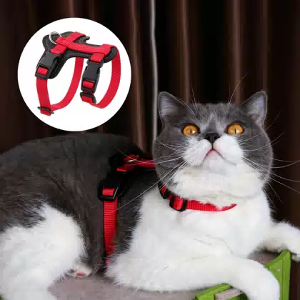 Adjustable Escape-Resistant Cat Harness and Leash
