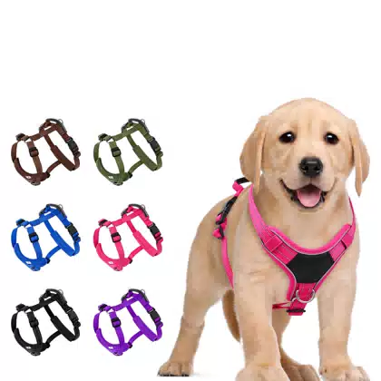 H-Style Dog Harness with Leather Handle