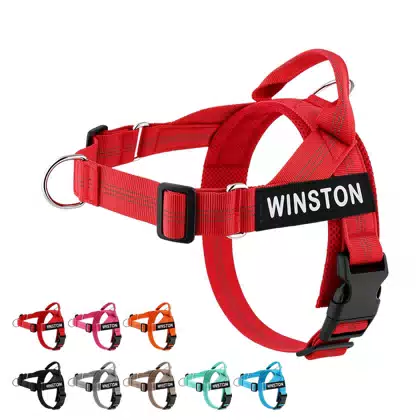 Easy-Fit Lightweight No-Pull Dog Harness