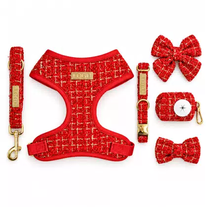 Quick Drying Luxury Red Textured Polyester Dog Harness Set with Neck Adjustable, Pet Leash, Collar, Bow and Poop Bag Holder